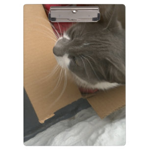 Carpeta De Pinza Gato en la caja