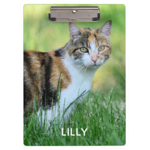 Carpeta De Pinza Gato marrón y blanco