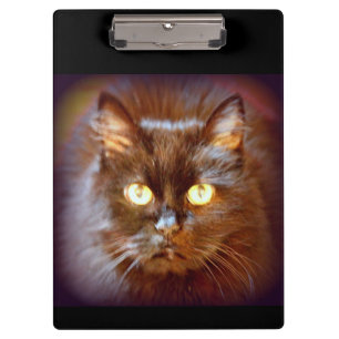 Carpeta De Pinza Gato negro