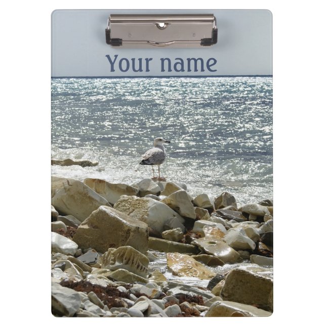 Carpeta De Pinza gaviota y oleaje (Anverso)