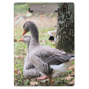 Carpeta De Pinza Geese