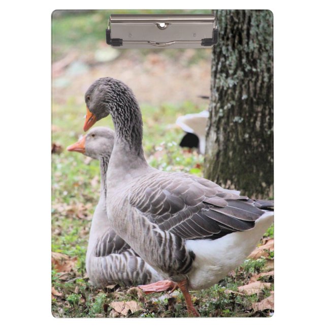 Carpeta De Pinza Geese (Anverso)