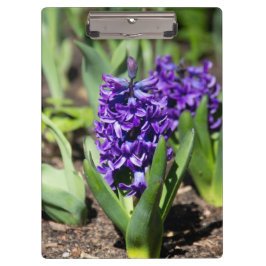 Carpeta De Pinza Geocinth azul en primavera