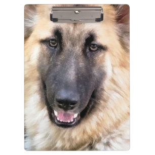 CARPETA DE PINZA GERMAN SHEPHERD