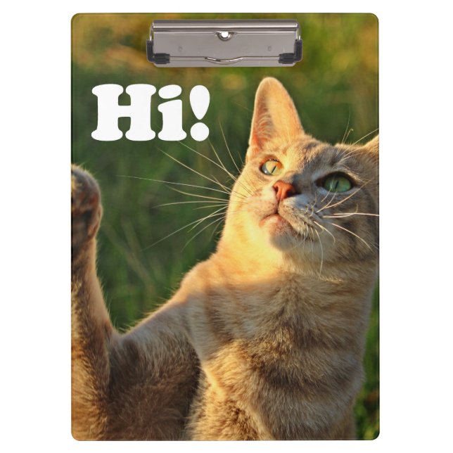 Carpeta De Pinza Ginger Cat diciendo ¡Hola! (Anverso)