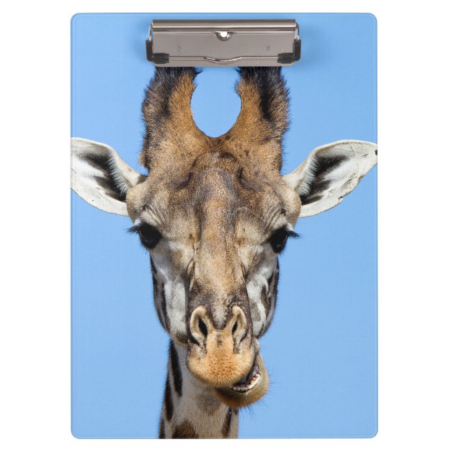Carpeta De Pinza Giraffe (Anverso)
