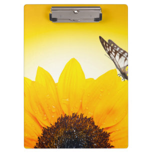Carpeta De Pinza Girasol con mariposa