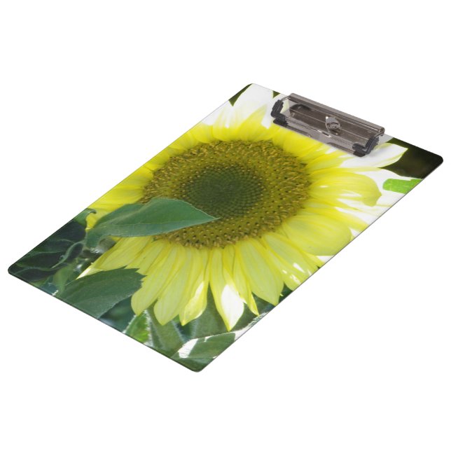Carpeta De Pinza Girasol de la luz del sol (Angular)