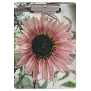 Carpeta De Pinza Girasol rosa pálido