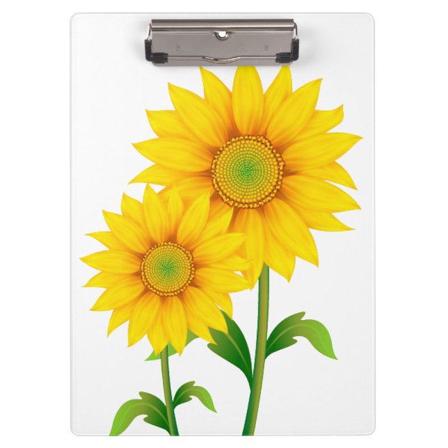 Carpeta De Pinza Girasoles 2 (Anverso)