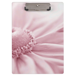Carpeta De Pinza Gloriosa Daisy Macro