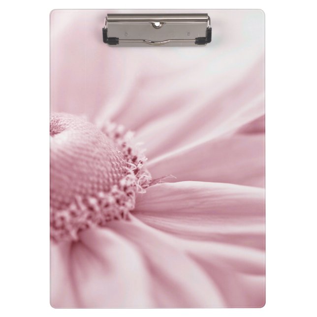 Carpeta De Pinza Gloriosa Daisy Macro (Anverso)