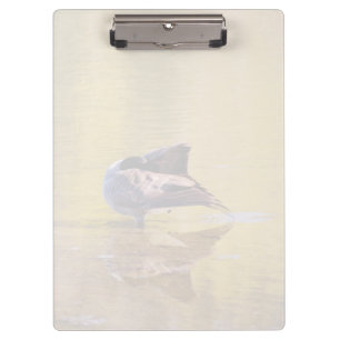Carpeta De Pinza Golden Goose