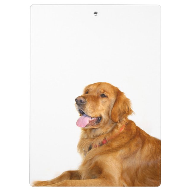 Carpeta De Pinza Golden retriever (Reverso)