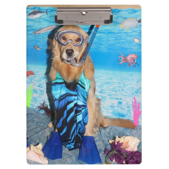 Carpeta De Pinza Golden retriever Snorkeler (Anverso)
