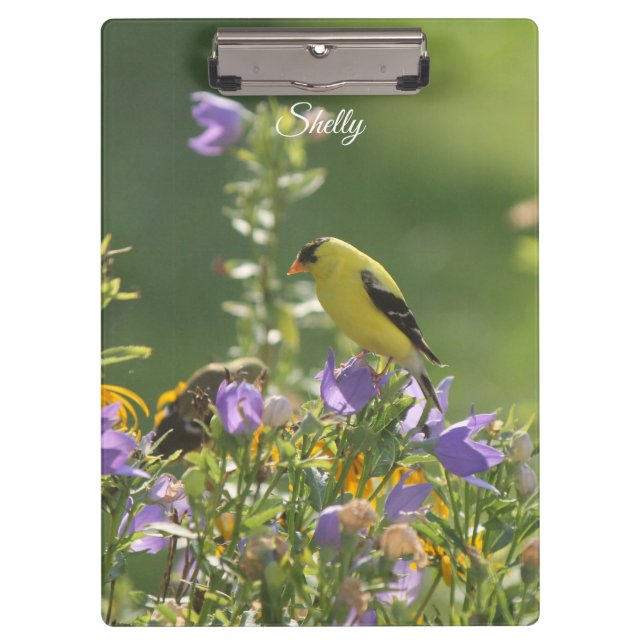 Carpeta De Pinza Goldfinch en una flor harebell (Anverso)