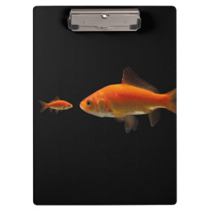 Carpeta De Pinza Goldfish