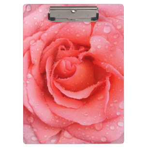 Carpeta De Pinza Gotitas de agua de rosa roja romántica