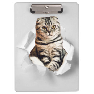 Carpeta De Pinza Gracioso Gato Gris recorriendo la ilusión de papel