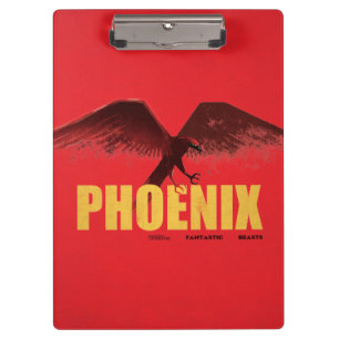 Carpeta De Pinza Gráfico de Phoenix Vingate