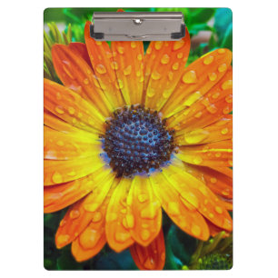 Carpeta De Pinza Gran Flor dorada cerca