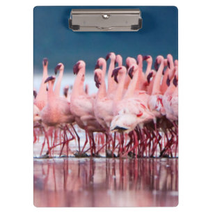 Carpeta De Pinza Gran Grupo De Flamencos Menores