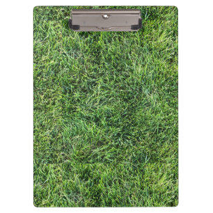 Carpeta De Pinza Grasa verde divertido patrón de textura foto real