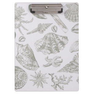 Carpeta De Pinza Gris suave de salvia concha boceto antiguo de la n