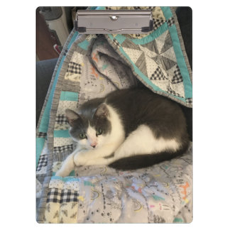 Carpeta De Pinza Gris y gato blanco