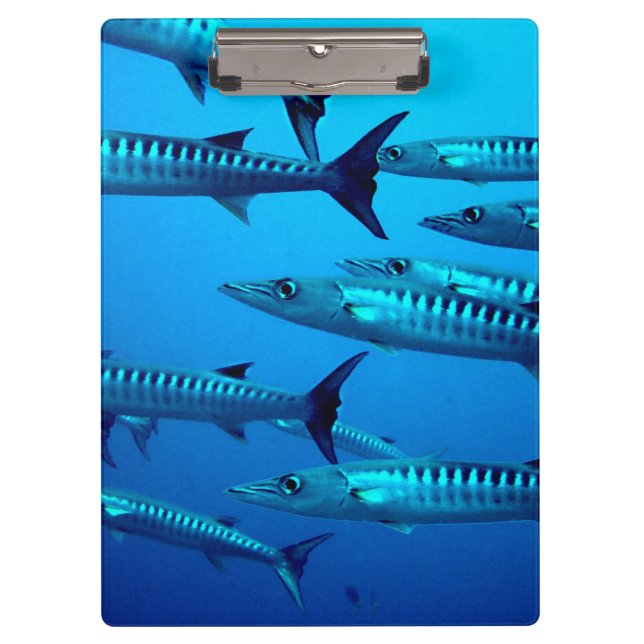 Carpeta De Pinza Guay Barracudas (Anverso)