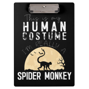 Carpeta De Pinza Halloween Mono de araña humana aterrador horror