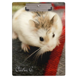 Carpeta De Pinza Hammyville - Cute Hamster