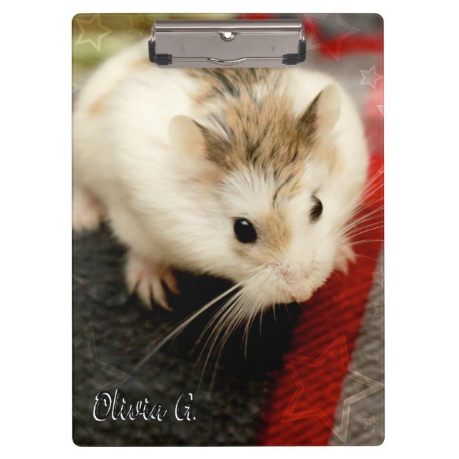 Carpeta De Pinza Hammyville - Cute Hamster (Anverso)