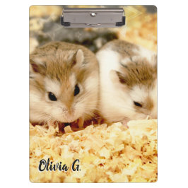 Carpeta De Pinza Hammyville - Cute Hamster