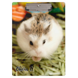 Carpeta De Pinza Hammyville - Cute Hamster