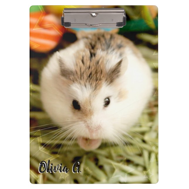 Carpeta De Pinza Hammyville - Cute Hamster (Anverso)