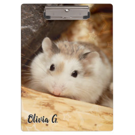 Carpeta De Pinza Hammyville - Cute Hamster