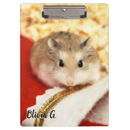 Carpeta De Pinza Hammyville - Cute Hamster