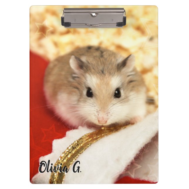 Carpeta De Pinza Hammyville - Cute Hamster (Anverso)