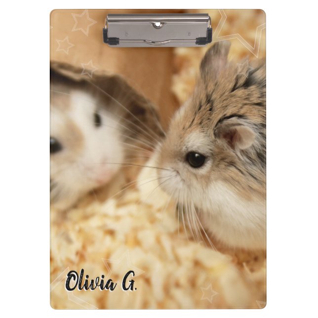 Carpeta De Pinza Hammyville - Cute Hamster (Anverso)