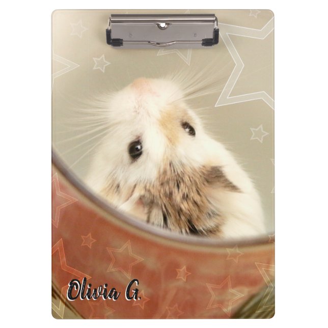 Carpeta De Pinza Hammyville - Cute Hamster (Anverso)