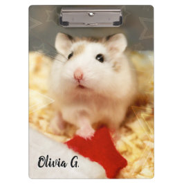 Carpeta De Pinza Hammyville - Cute Hamster