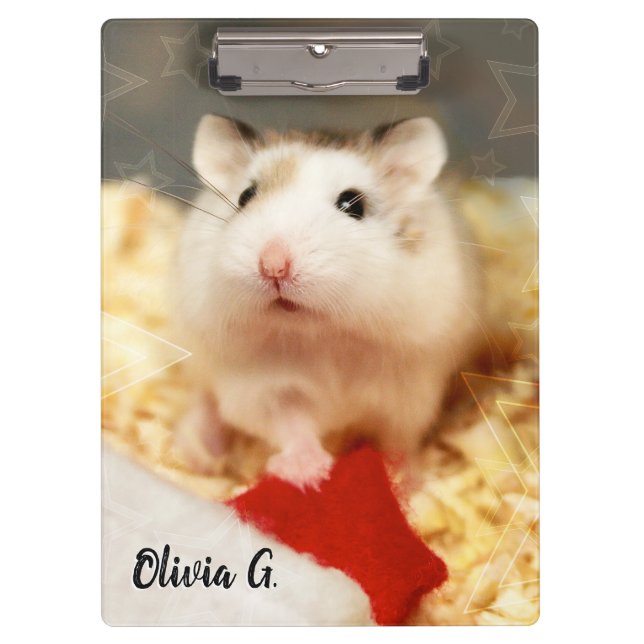 Carpeta De Pinza Hammyville - Cute Hamster (Anverso)