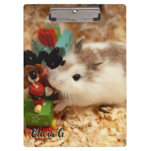 Carpeta De Pinza Hammyville - Cute Hamster