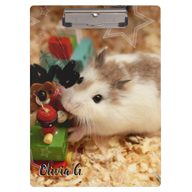 Carpeta De Pinza Hammyville - Cute Hamster (Anverso)