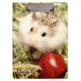 Carpeta De Pinza Hammyville - Cute Hamster