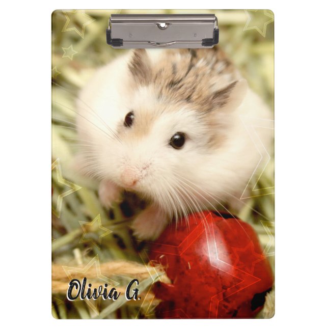 Carpeta De Pinza Hammyville - Cute Hamster (Anverso)