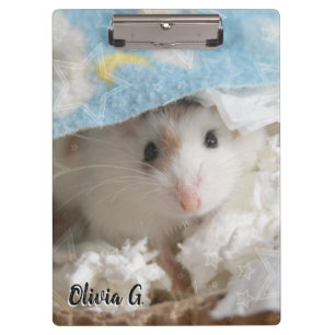 Carpeta De Pinza Hammyville - Cute Hamster