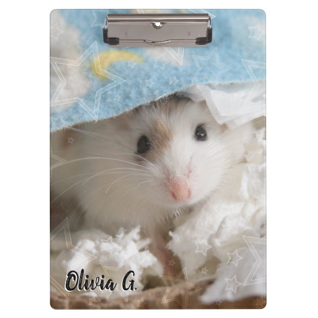 Carpeta De Pinza Hammyville - Cute Hamster (Anverso)