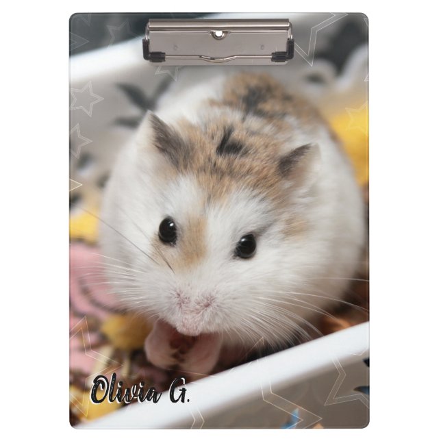 Carpeta De Pinza Hammyville - Cute Hamster (Anverso)